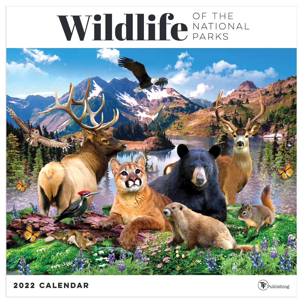 2022 Wildlife Of The National Parks Wall Calendar Michaels 2022 National Parks Wall Calendar Tf Publishing